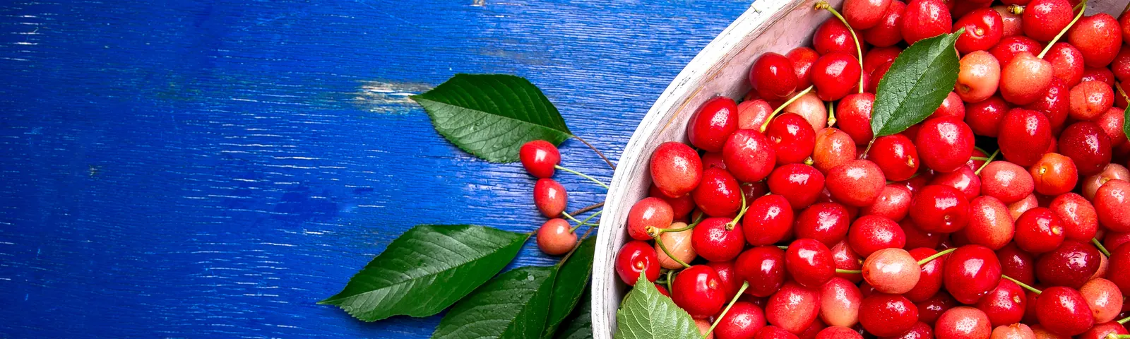 Coffee cherries gathered in a basket
